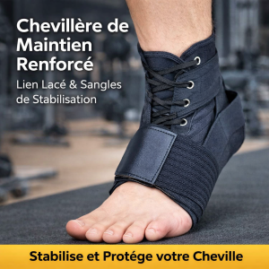Chevillère de Maintien Renforcé – Lien Lacé & Sangles de Stabilisation | NO8743